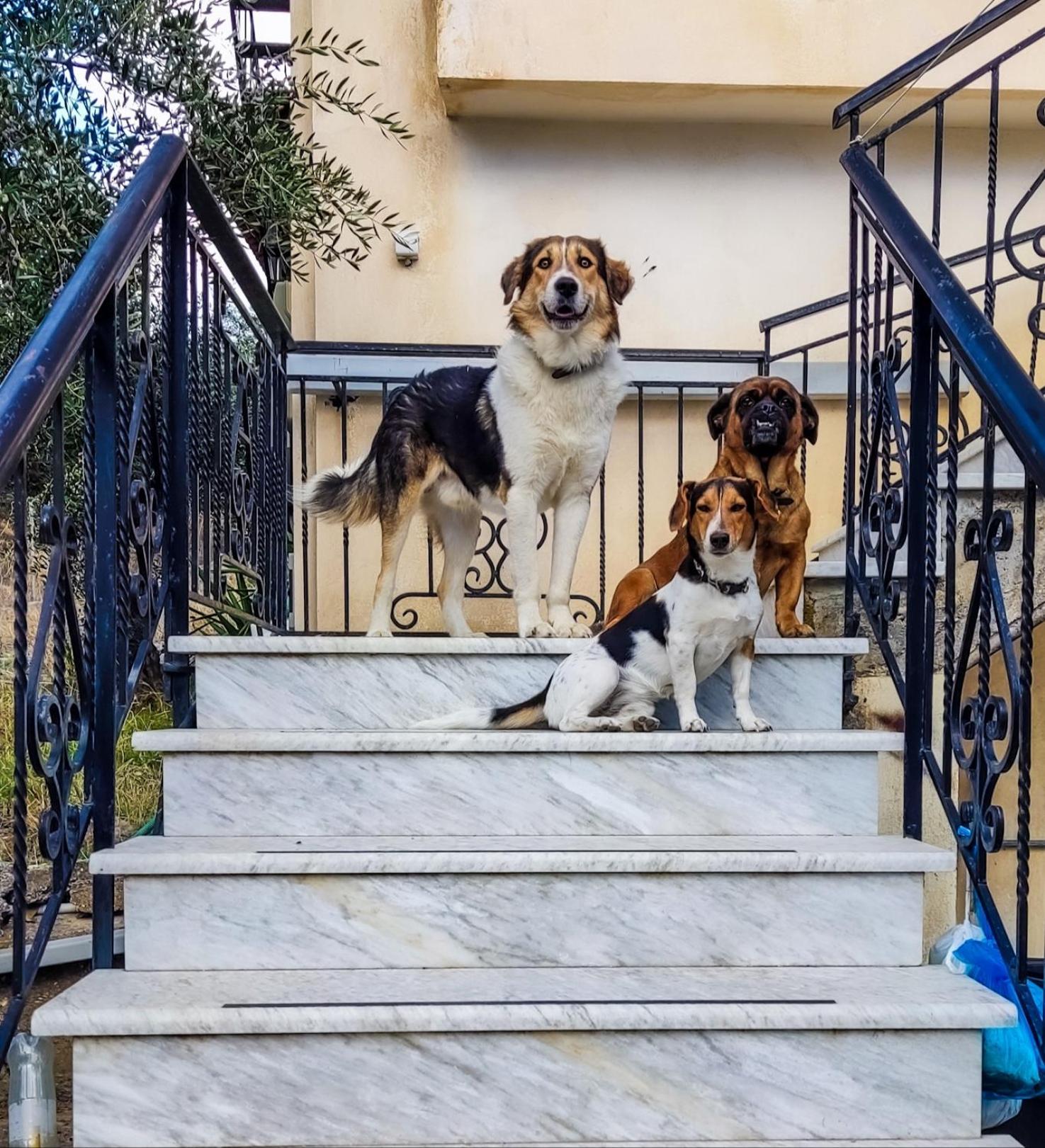 Your Spot West Peloponnese Shared Countryhouse زاخارو المظهر الخارجي الصورة